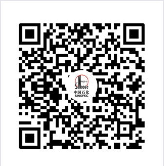 官方快手